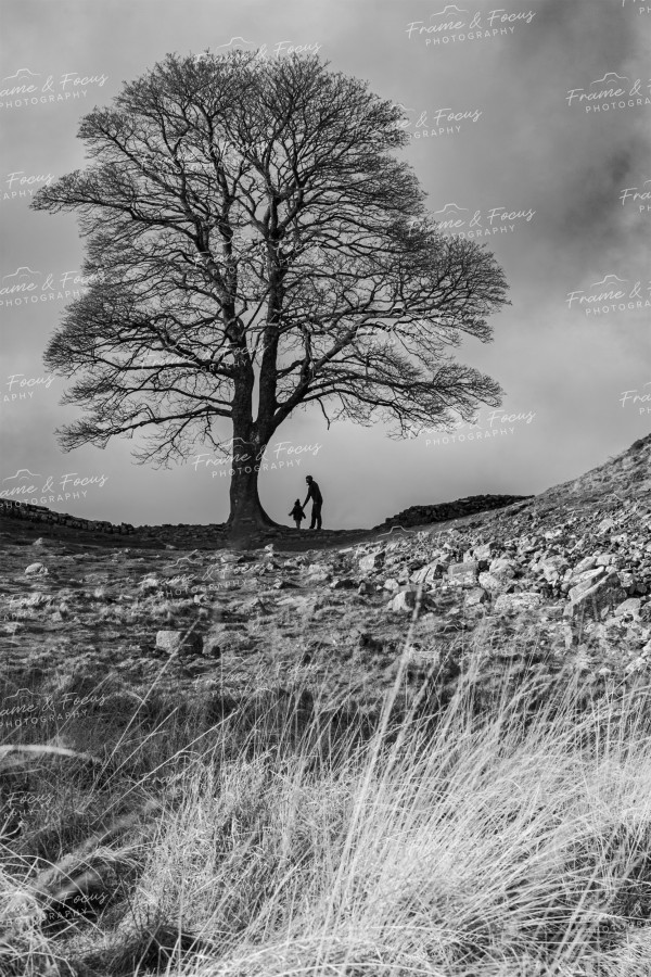 To buy a print or any of the below please click on the images